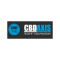 CBD Axis Logo